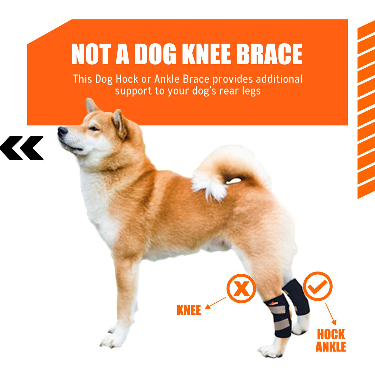 NeoAlly Cat and Dog Ankle Brace Pair Canine Rear Leg Hock Support with Safety Reflective Straps for Hind Leg Wounds Heal and Injuries and Sprains from Arthritis (S Pair)