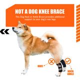 NeoAlly Cat and Dog Ankle Brace Pair Canine Rear Leg Hock Support with Safety Reflective Straps for Hind Leg Wounds Heal and Injuries and Sprains from Arthritis (S Pair)