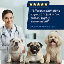 Load image into Gallery viewer, STRELLALAB Anal Gland Support Chews - Scoot Treatment - Digestive Enzymes, Prebiotics &amp; Fiber Supplement for Dogs Digestion &amp; Gut Health. Proprietary Blend of Beet, Psyllium, Dandelion &amp; Pumpkin 120Ct
