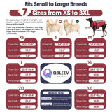 QBLEEV Reversible Dog Coat for Large Dogs, Waterproof Windproof Winter Jacket Keeps Big Breeds Warm & Dry, Adjustable Hook & Loop Puffer Vest, Wine Red, 3XL – Fits Labrador, Weimaraner, Great Dane