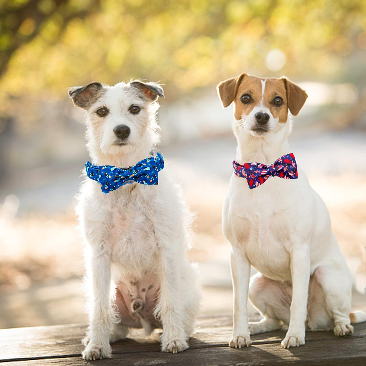 Bobo Rainbow Independence Day Dog Collar, Patriotic 4th of July Dog Collar Cute Bowtie Pet Collar Bow Tie Collar for Dogs Adjustable Puppy Collars for X-Large Dogs