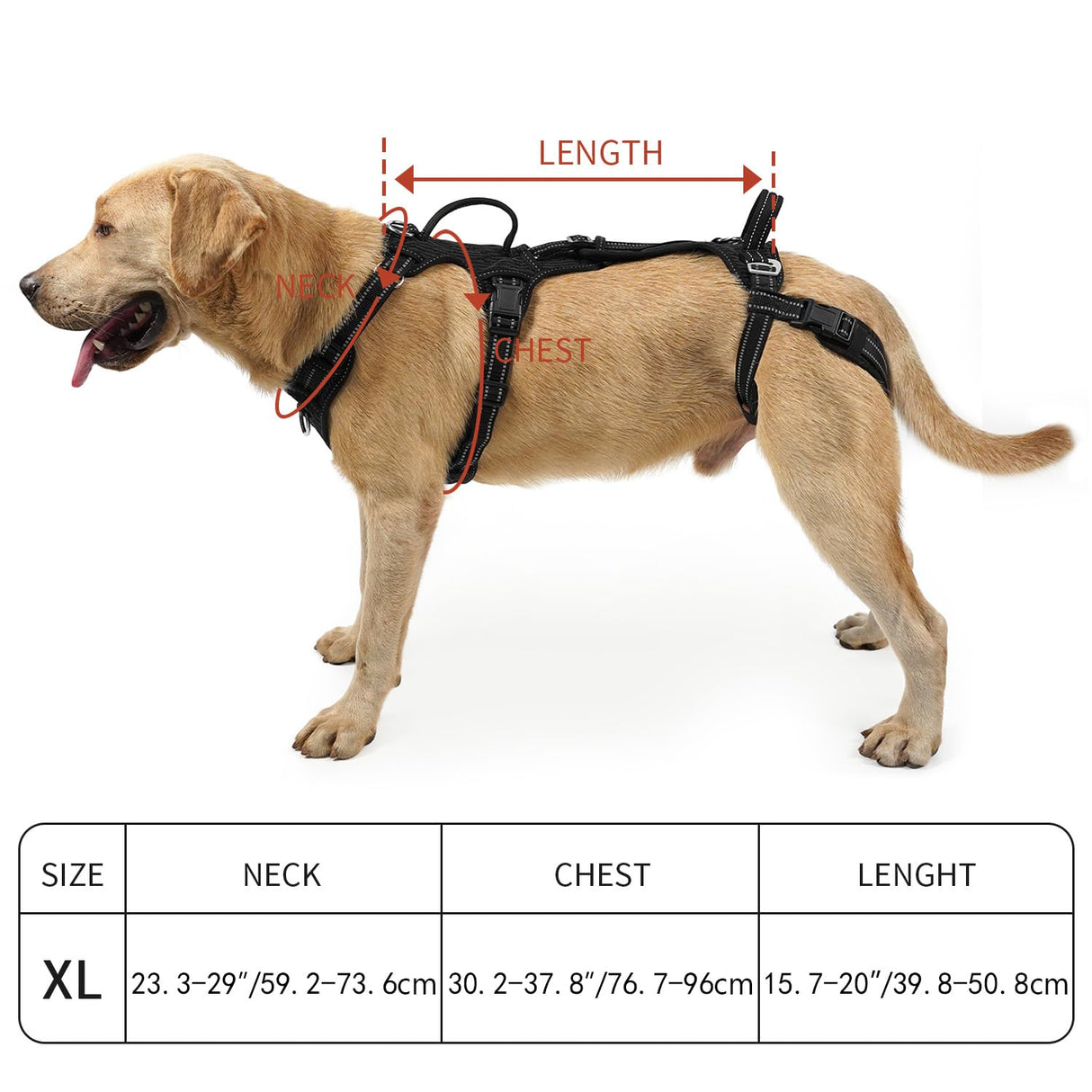 COODEO Mobility Dog Lift Harness, Support Sling & Walking Sling for Dogs, Pet Rear Leg Rehabilitation Support Vest, Dog Carrier for Senior Dogs with Joint Injuries, Arthritis, Up Stair (Black, XL)