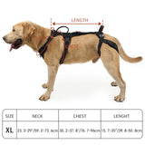 COODEO Mobility Dog Lift Harness, Support Sling & Walking Sling for Dogs, Pet Rear Leg Rehabilitation Support Vest, Dog Carrier for Senior Dogs with Joint Injuries, Arthritis, Up Stair (Black, XL)