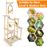 Chuiendi Bird Playground 4 Layer, Parrot Perch Stand Bird Play Stand for Parakeet Conure Cockatiel Lovebird Budgie, Parrot Playground with Feeder Cups, Ladder, Chain Toy, Swing and Detachable Tray