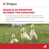 Purina Duck Feed for All Life-Stages | 40 Pound (40 lb.) Bag