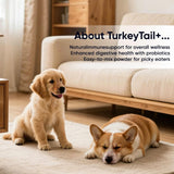 Puppy Lab Co Turkey Tail Mushroom for Dogs - Puppylabco Turkey Tail for Gut & Immune Supports, 100 Scoops | Bacon Flavor | Probiotics 100g (1)