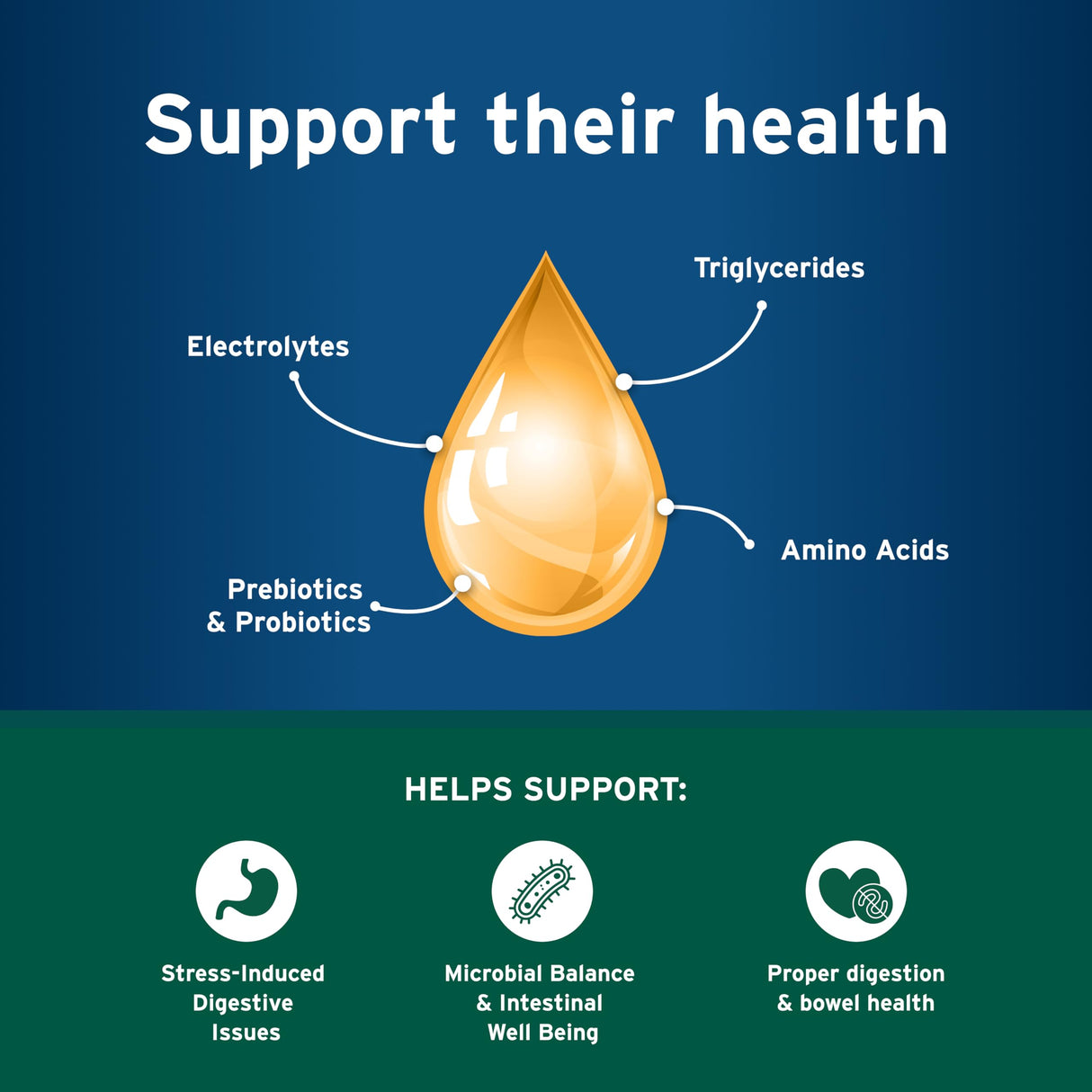 Pet Protect Dog Probiotic Balance+ Oral Gel, Vet-Formulated Endurosyn, Prebiotics & Probiotics for Dogs, 3-Day Supply, Chicken Flavor (32g)