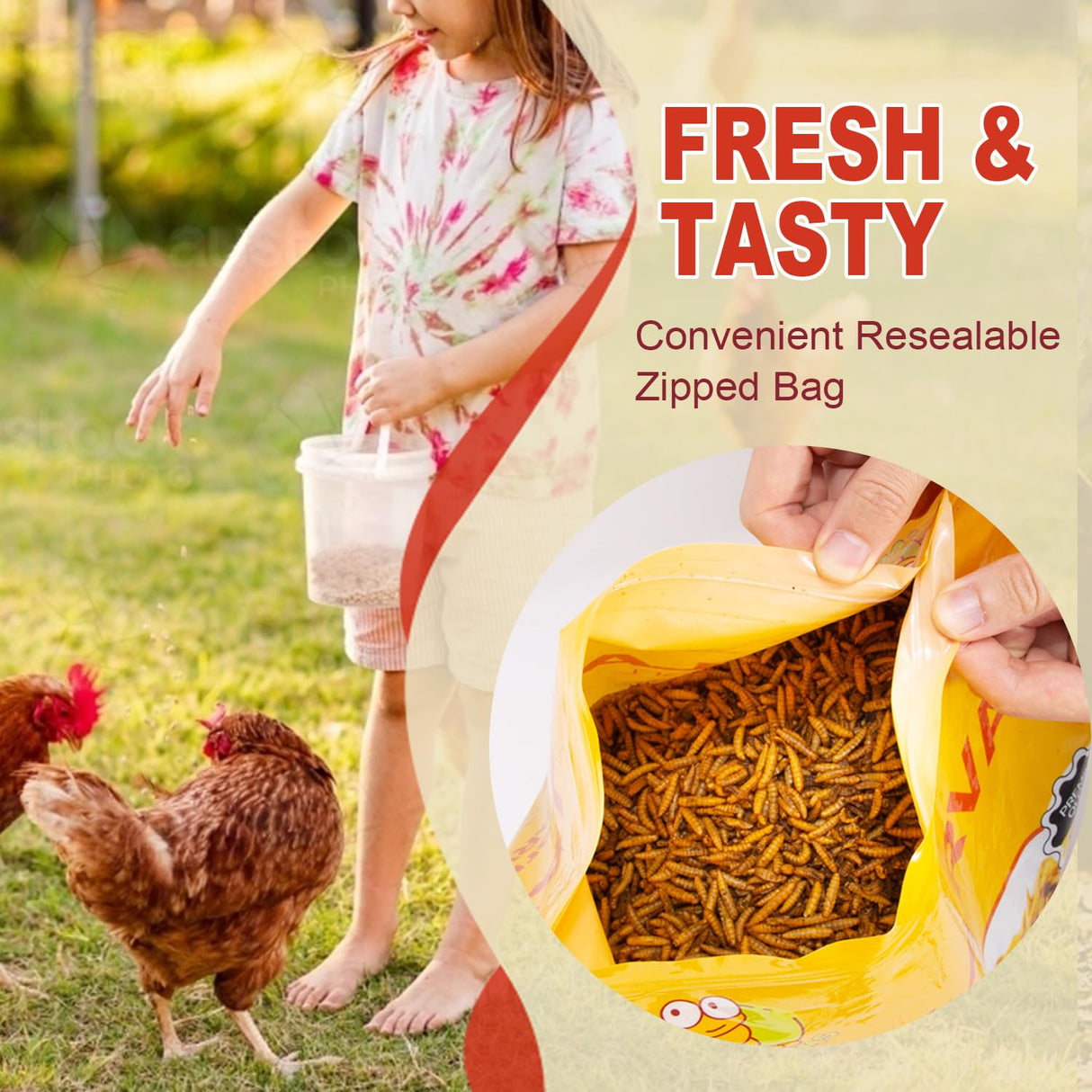 GOLDWORMS 10LB Dried Black Solider Fly Larvae, BSFL is High Protein Chicken Feed with 85x More Calcium Than Dried Mealworms, Poultry Treats, Chickens Love, Birds Love, Hens Love, Ducks Love