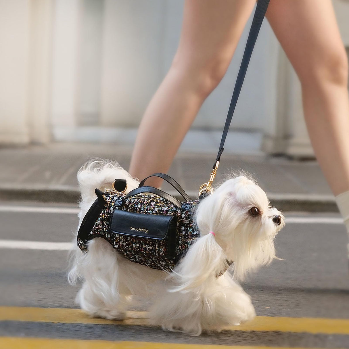Dog Lift Harness Dog Carrier- with Soft Cushion Belt Design for Dogs/Lightweight Breathable Multi Functional, Can be Used as a Handbag (Moon Black, XS)