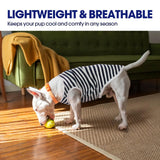FUAMEY 2 Pack Dog T-Shirts for Small Dogs,Puppy Lightweight & Breathable Sleeveless Shirts Soft Dog Tee Pet Vest T Outfit Dogs Striped Tank Tops Blue S
