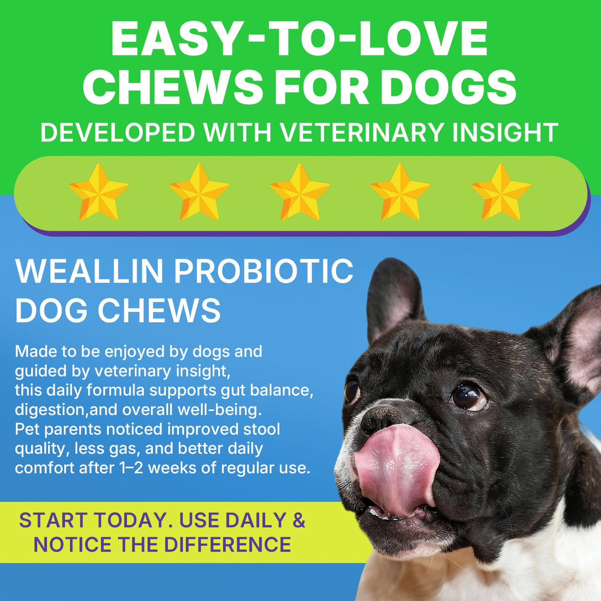 200 PCS Probiotics for Dogs - Dog Probiotic Chews for Gut Health, Digestive Support & Itchy Skin Relief Pet Diarrhea Gas Treatment - Probiotics, Digestive Enzymes, Prebiotics, Pumpkin