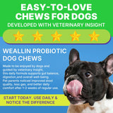200 PCS Probiotics for Dogs - Dog Probiotic Chews for Gut Health, Digestive Support & Itchy Skin Relief Pet Diarrhea Gas Treatment - Probiotics, Digestive Enzymes, Prebiotics, Pumpkin