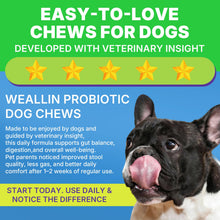 Load image into Gallery viewer, 200 PCS Probiotics for Dogs - Dog Probiotic Chews for Gut Health, Digestive Support &amp; Itchy Skin Relief Pet Diarrhea Gas Treatment - Probiotics, Digestive Enzymes, Prebiotics, Pumpkin
