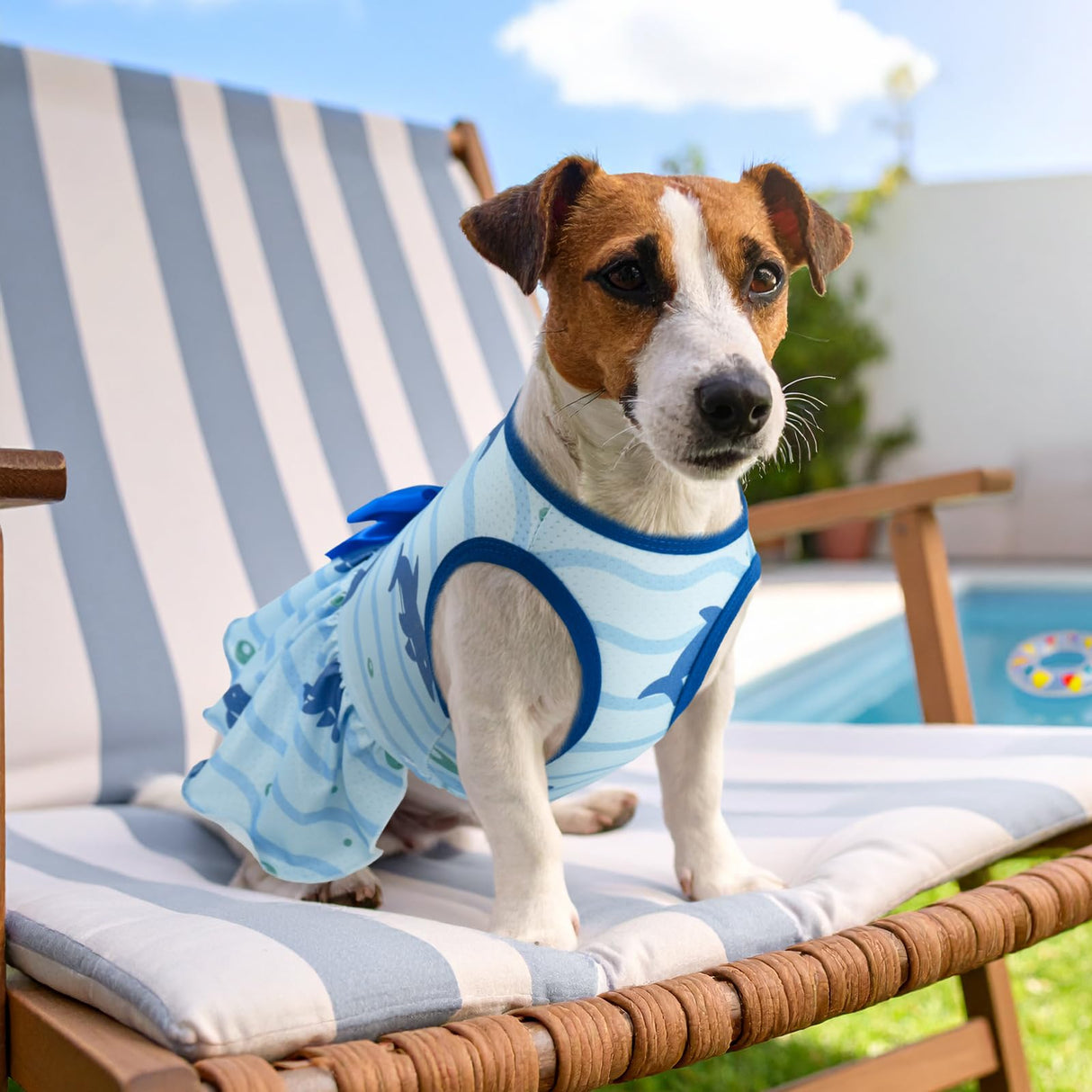 Vehomy 2-Pack Dog Summer Dress Breathable Puppy Cat Dresses with Bowknot Pet Summer Cool Outfits Skirts with Sea Fish Dolphin Patterns for Small Medium Dogs L