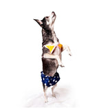 Midlee Yellow Polka Dot Dog Bikini (XX-Large)