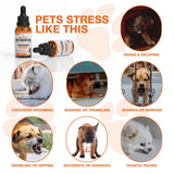Organic Неmp Oil for Dogs Cats (2-Pack), Supports Hip Joint Health, Rеlaxation & Slеep, Pet Calming Drops, Dog Anxiеty Relief & Strеss & Pаin Rеlief for Dogs