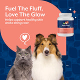 NaturVet – Brewer’s Dried Yeast Formula with Garlic Flavoring – Plus Vitamins – Supports Healthy Skin & Glossy Coat – Fortified with B-1, B-2, Niacin & Vitamin C – for Dogs & Cats (4 lb Powder)