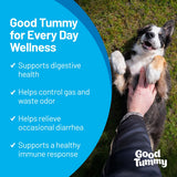 Pet HealthWorks Good Tummy Probiotic Chews for Dogs – Supports Digestive Health, Controls Gas, Promotes Healthy Immune Function – Beef Flavor, 60 Soft Chews