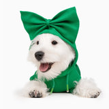 Allisandro Dog Hoodie with Interchangeable Bow Ties, Puppy Exquisite Pocket Doggie Winter Clothes, Pet Hooded Sweatshirt, L, Green