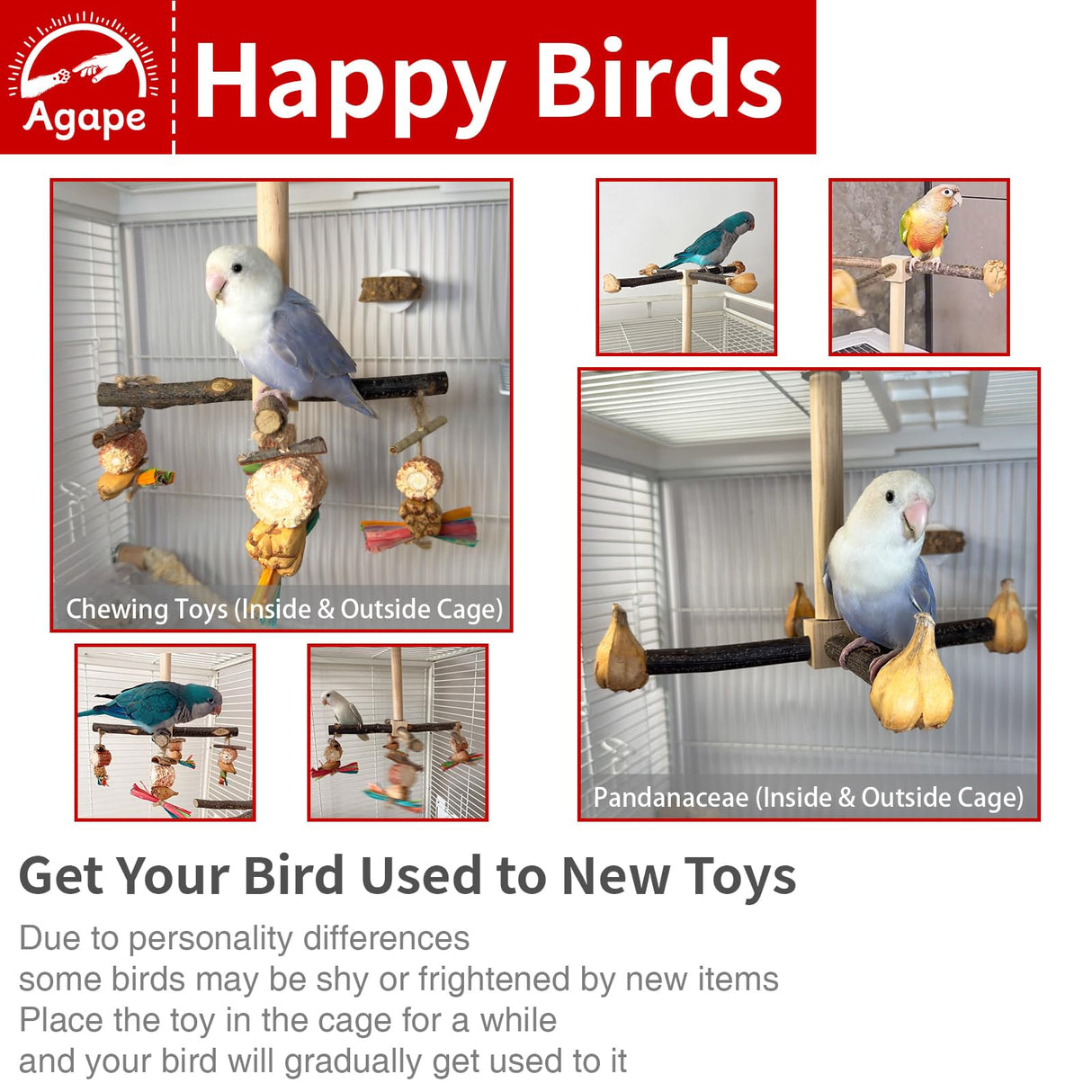 Agape Rotating Parrot Perch Toy with Chew Toy, Natural Wooden Perch Stand for Small & Medium Birds, Bird Cage Accessory with Exercise Wheel for Parakeets Cockatiels Lovebirds Conures Finches Budgies