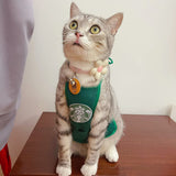 Halloween pet Clothing