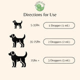 Dog Constipation Relief - Constipation Relief for Dogs - Helps to Gently Relieve Constipation, Soften Bowel Movements, & Much More - Dog Laxative - Pet Stool Softener - 1 fl oz - Bacon Flavor