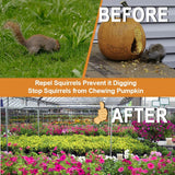 ANEWNICE Squirrel Repellent Outdoor,Rodent Repellent, Squirrel Repellent for Attic/Cars,Natural Squirrel Repellent for Bird Feeders and Garden, Ultra Powerful Chipmunk Repellent - 8Packs