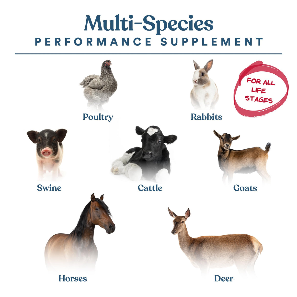 Manna Pro Calf-Manna, Multi-Species Performance Supplement for Livestock, Poultry, Cattle, Goats, Rabbits, Swine, Horses & Deer, High-Protein Animal Feed Additive for Growth, Weight Gain, 10 lb Bag