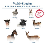 Manna Pro Calf-Manna, Multi-Species Performance Supplement for Livestock, Poultry, Cattle, Goats, Rabbits, Swine, Horses & Deer, High-Protein Animal Feed Additive for Growth, Weight Gain, 10 lb Bag