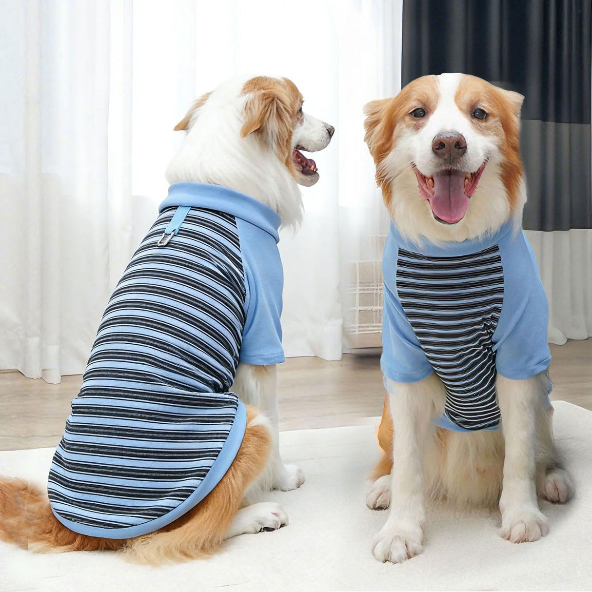 Fleece Dog T-Shirt with Leash Ring Lightweight Stretchy Dogs Clothes Striped Short Sleeves Pet Sweatshirt Soft Dog Shirts for Large Dogs Border Collie,Golden Retriever,Doberman（Blue,6X-Large）