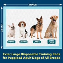 Load image into Gallery viewer, Clean Spaces Extra Large Puppy Pads 28"x34",Super Absorbent Disposable Pee Pads for Dogs / Wee Wee Pads / Potty Training Pads, Incontinence Bed Underpads for Adults, 50 Count
