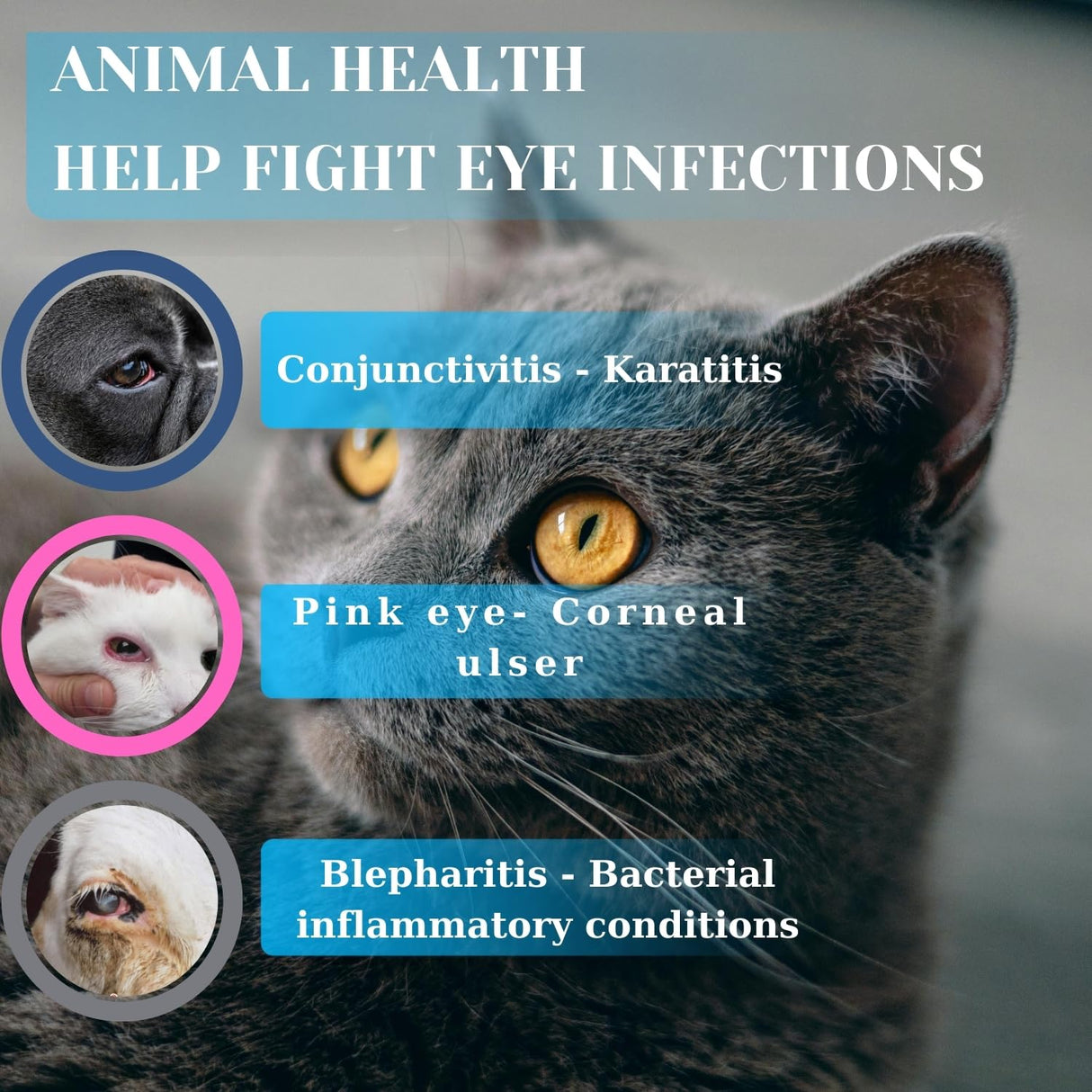 TERRAPET Pet Eye Cream Health for Dogs, Cats, Cattle, Sheep, Horse, Bird 1/8 oz / 5 gr, 1 Tube Gentle Daily Eye Care, Easy Topical Application