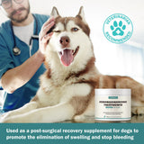 Quick Stop Bleeding for Dogs, Natural Yunnan Sanqi Powder for Hemangiosarcoma, Hemoabdomen, Pericardial Effusion, Cancer Bleeding, Severe Bruising, Ulcer-Related Bleeding, Bloody Stools - 60g