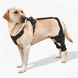 FurWell Dog Knee Brace with Adjustable Support – ACL & CCL Tear Recovery, Post-Surgery Stabilization, Mobility Aid for Rear Legs – Includes Secure Chest Harness for Dogs(Both Legs,L)