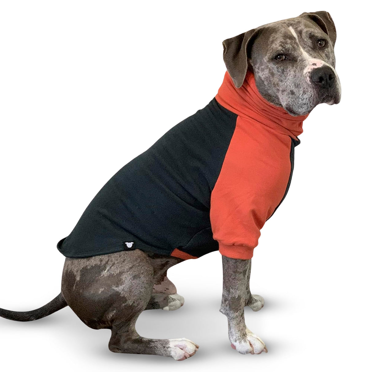 Tooth & Honey Pitbull Dog Sweater - Dark Green & Orange (Large)