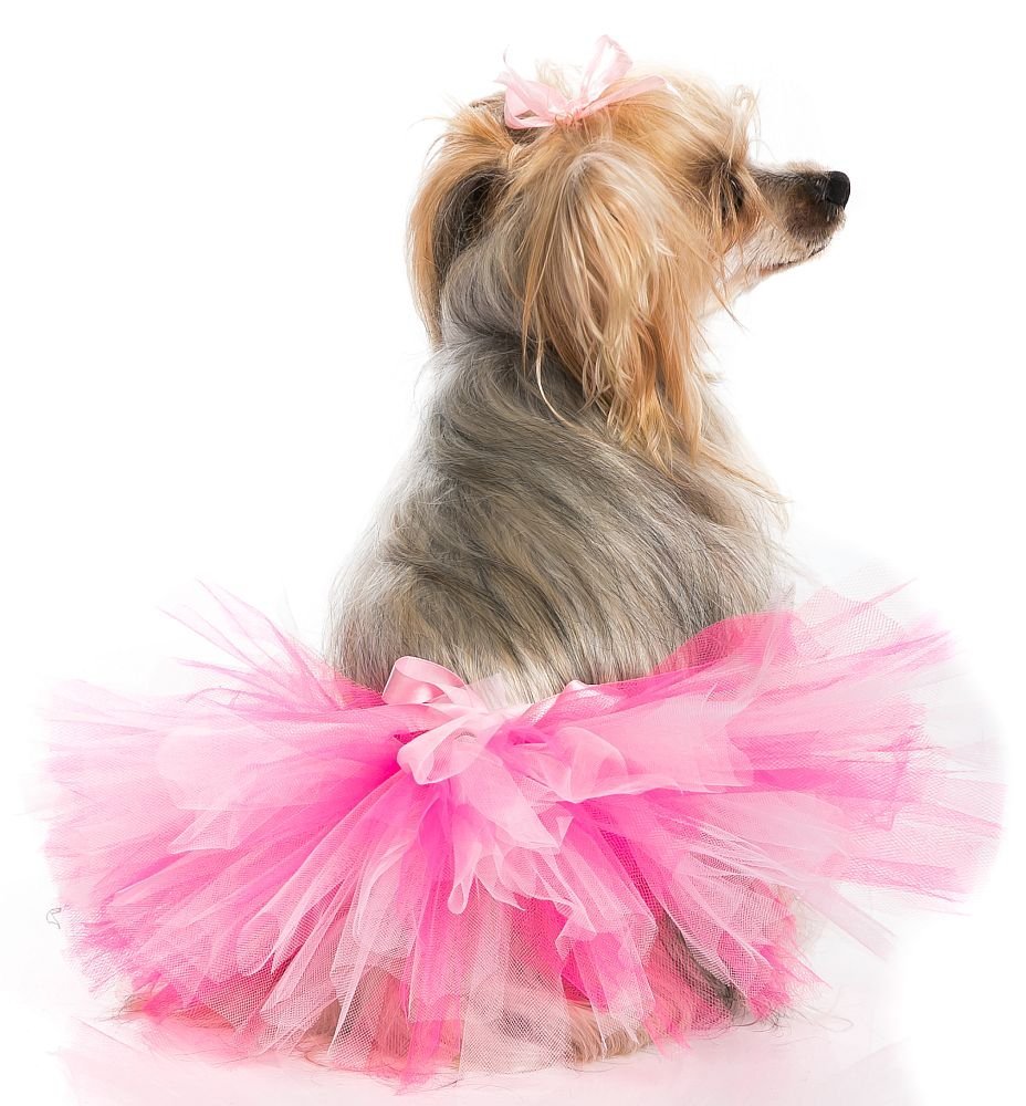Hand Crafted in USA Pink Mesh Ballerina Tutu Skirt for X-Large Dogs