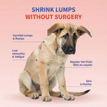 Load image into Gallery viewer, Fifth &amp; Fido Turkey Tail Mushroom for Dogs – Turkey Tail for Dogs Mushroom Supplement with Immune Support for Lipoma, Lumps &amp; Bumps – Premium Pet Vitamins and Supplements Made in USA, 100 Servings
