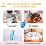 LovinPet Dog Recovery Suit for Large Medium Dogs Pet Pajamas Anti Licking Bodysuit for Abdominal Wound After Surgery for Shedding Skin Disease,Effectively Help,Duck,Blue,XXL