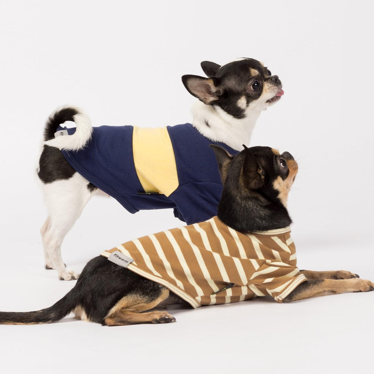 Fitwarm 3 Pack Color Block Striped Dog Shirt, Summer Dog Clothes for Small Dogs, Breathable Lightweight Dog Tshirt, Pet Outfit, Navy Blue, Sea Green, Brown, Small
