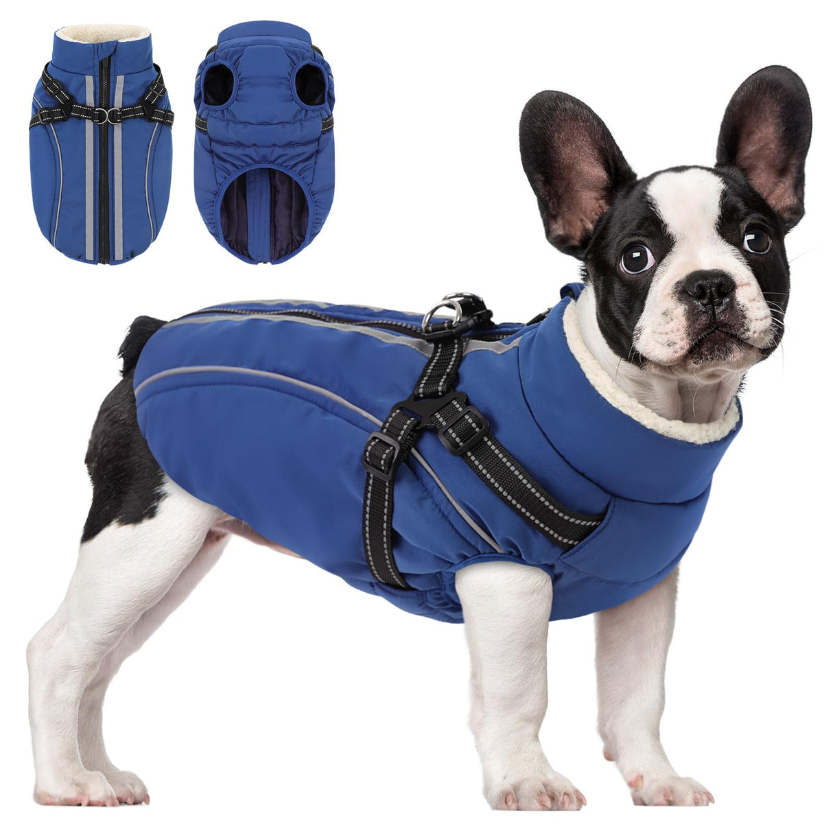 Dog Winter Coat with Harness Built in Warm Puffer Dog Jackets for Small Medium Large Dogs Windproof Waterproof Outfit with Plush Lining and Reflective Stripes (Blue, L)