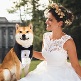 Locmeo 3 Pcs Dog Wedding Collar Outfit Include Dog Tuxedo Attire Wedding Ring Bearer Ring Holder Pouch Box Adjustable Pet Neck Bow Tie with Leash