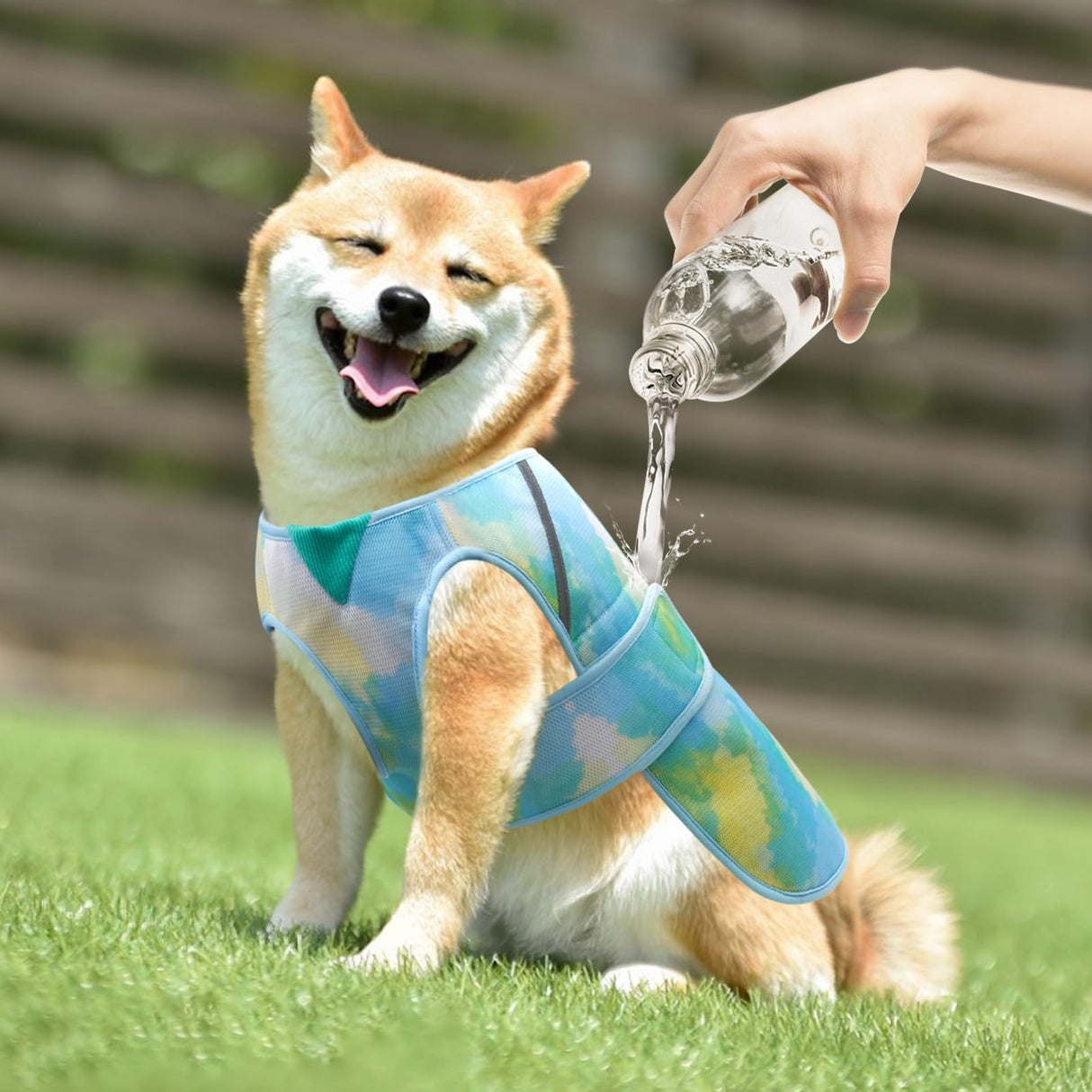KYEESE Dog Cooling Vest for Summer Lightweight Dog Cooler Jacket 3D Breathable Mesh Pet Cooling Shirts with Reflective Stripe UV Protection Pet T Shirt for Beach, Hiking, Walking (Blue, M)