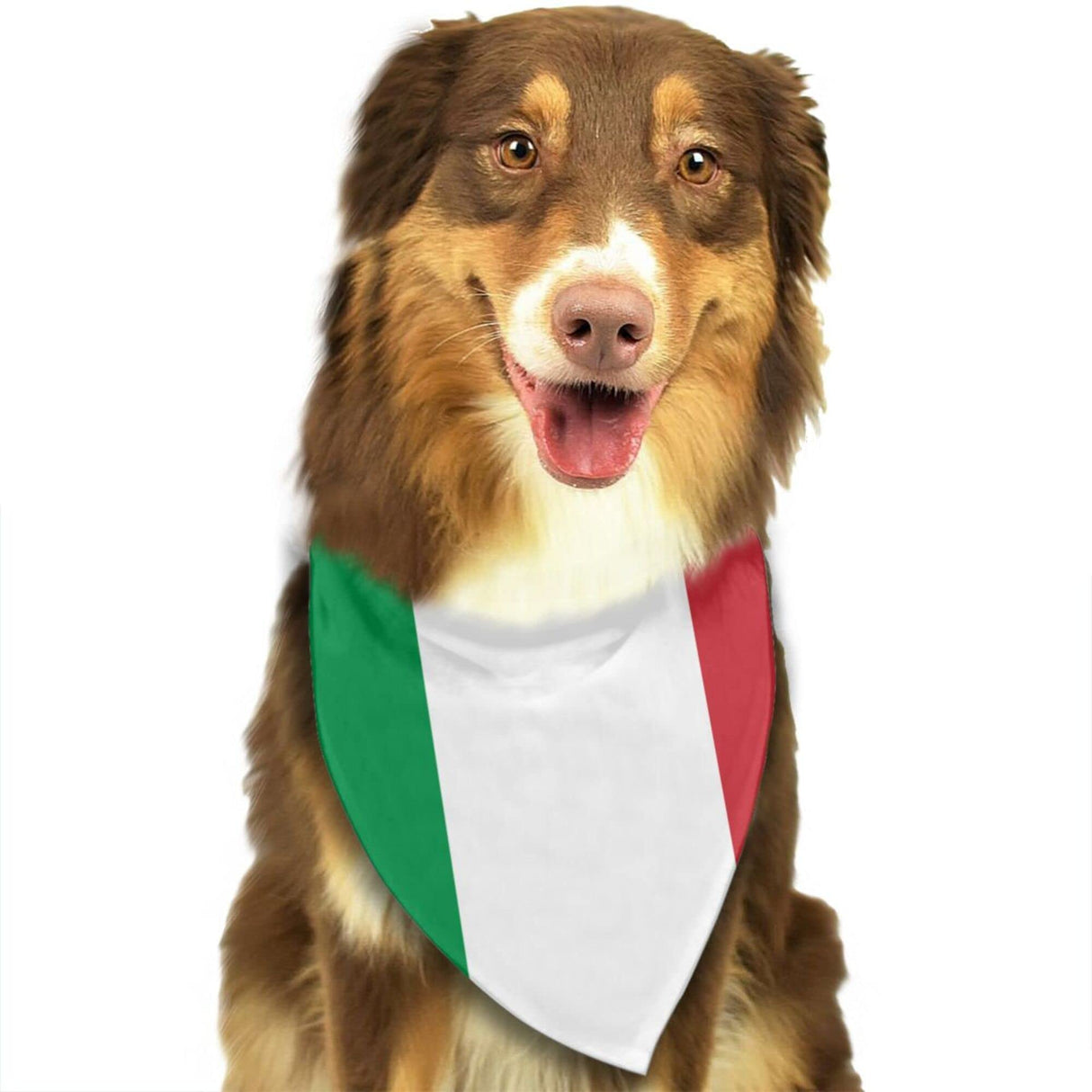 Dog Bandanas Italian Flag Pet Bandana Scarf Triangle Bibs Kerchief Accessories for Dogs Cats