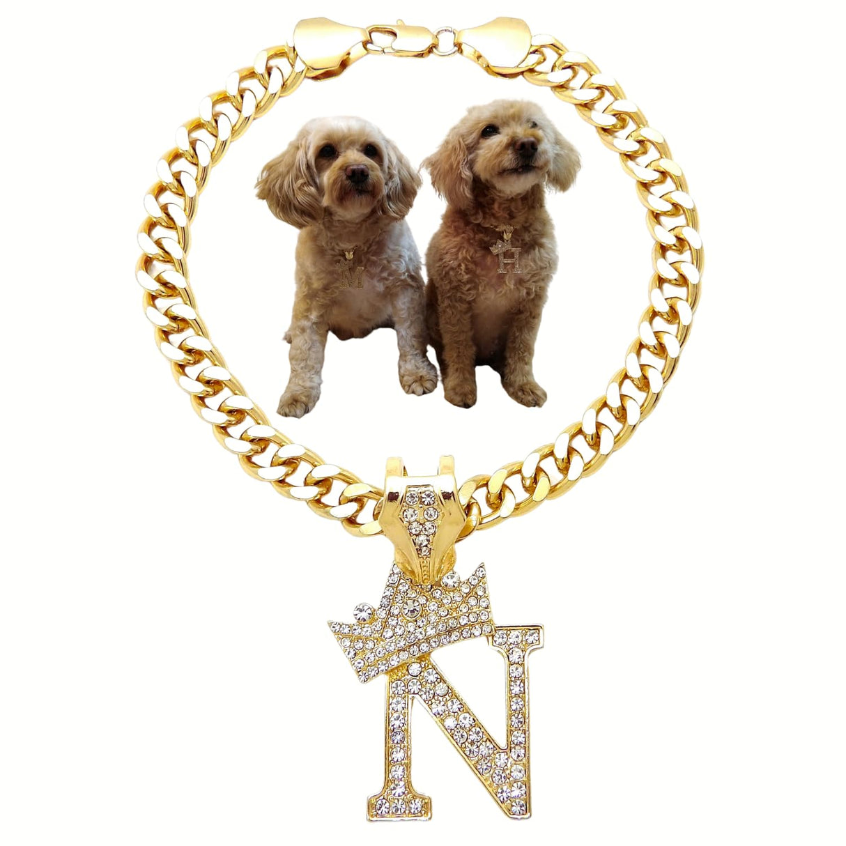 Initial Letter Cuban Chain Dog Chain Pet Chain Pet, Cat, Puppy Necklace (N, 10")