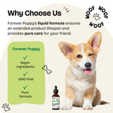 Forever Puppy Dandelion Leaf Drops for Dogs - Kidney Health Liquid Supplement for Large, Medium & Small Dogs - Kidney Cleanse Detox Drops w/Dandelion Leaves Tincture - 2 oz