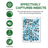 Carmelie Refills Glue Boards for Indoor Fly Trap, Flying Insect Trap, Insect Catcher, Fruit Fly Traps for Indoors, for Gnat, Fruit Files, Bugs, Mosquitoes Killer, Pack of 10