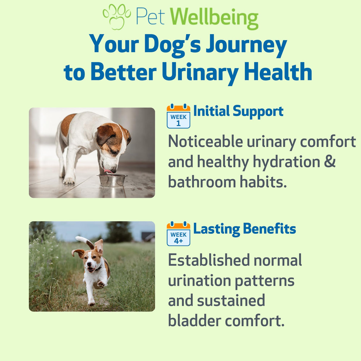 Pet Wellbeing Urinary Gold for Dogs - Vet-Formulated Multi-Herb Urinary Tract Support - Bladder Health & Urinary System Wellness - Natural Dog Supplement - Liquid Formula 2 oz (59ml)