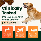 VetriScience Healthy Hip & Joint Chews, GlycoFlex Glucosamine and Green-Lipped Mussel Joint Support Supplement for Dogs, Promote Mobility and Protect Joints, Chicken, 120 Count