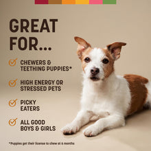 Load image into Gallery viewer, Earth Animal No Hide Chews - Long Lasting Rawhide Free Small Dog Chews Rolls, Chicken - 6 Count
