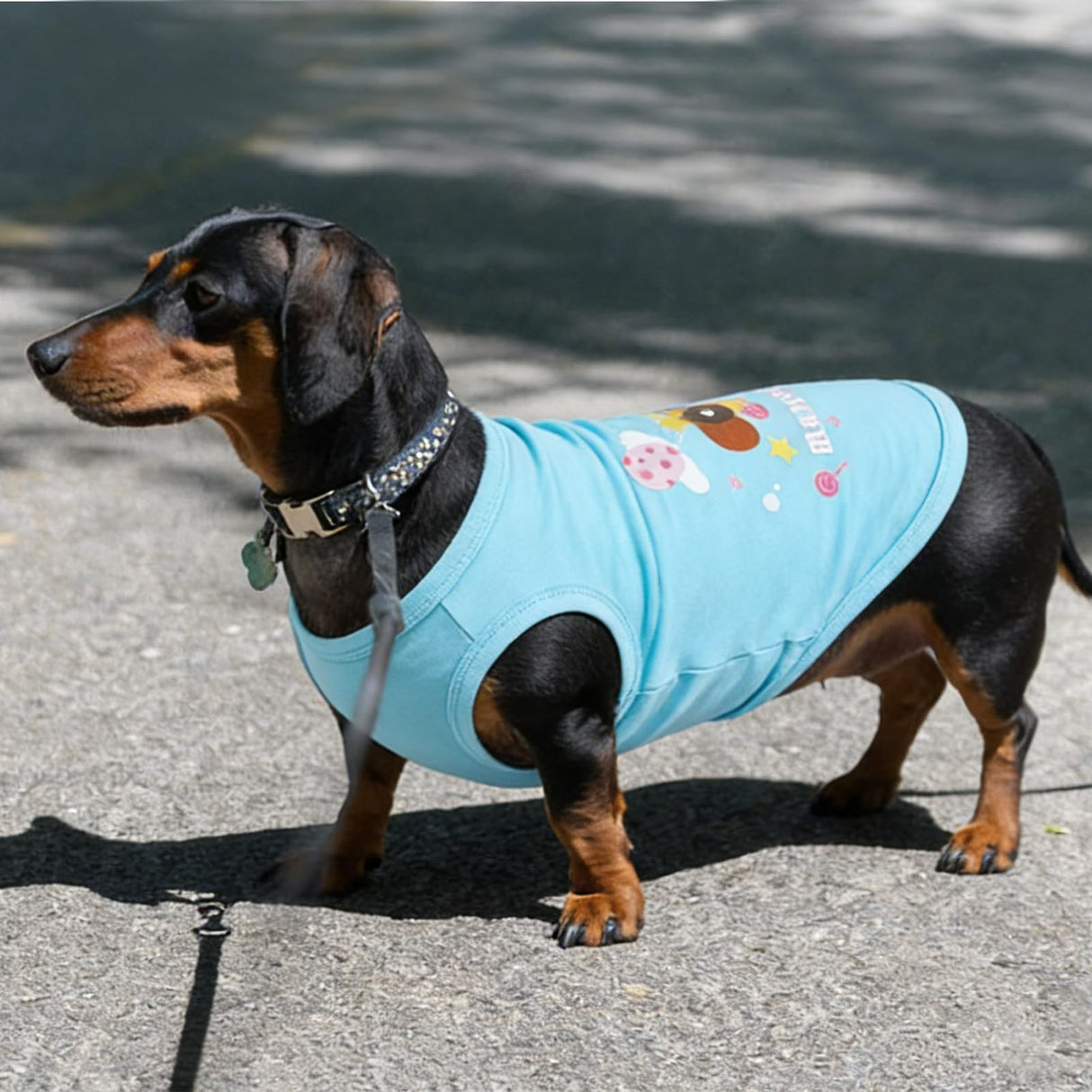 3 Pack Birthday Dog Shirts for Small Dogs,Print T-Shirt,Lightweight Sleeveless Vest,Soft Breathable & Lightweight for Daily Wear,Festival Party Funny Outfits (Pink & Blue,S)